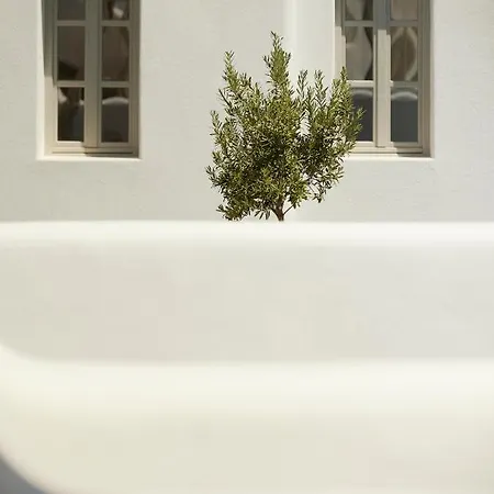 Danae Santorini Hotel 4*
